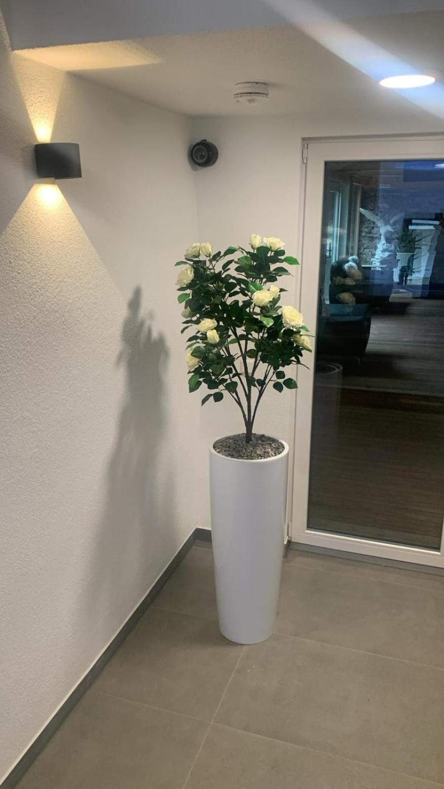 Hotel Am Schlossplatz Hechingen